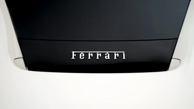 11 – REAR BADGE