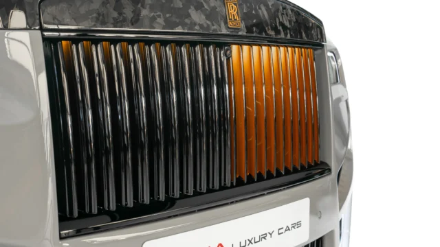 6 – FRONT GRILLE CLOSE-UP