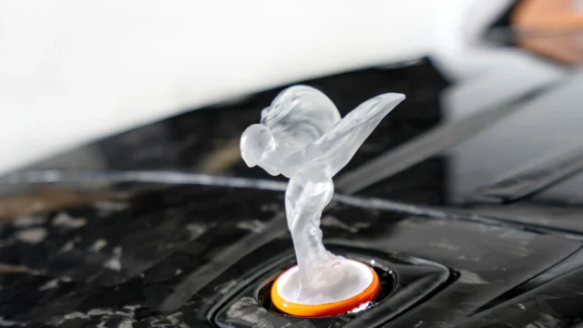 9 – HOOD ORNAMENT